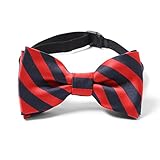 子供用のストライプ蝶ネクタイ B.レッド