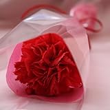 カーネーション 赤 一輪（一本）（ 生花 ）、ラッピング付き