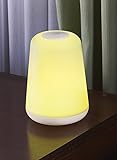 2-In-1 Night Lamp and Flashlight [並行輸入品]