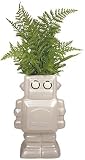Ceramic Robot Vase [並行輸入品]