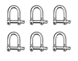Ladruph ホーム シャックル ステンシャックル 6個セット D形シャックル ねじシャックル吊り具 バウシャックル ステンレス ピン 吊り M5 M8 (D形M8)