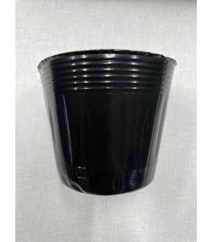 Amazon.co.jp: ポリポット 18cm 黒 100個 ビニールポット : DIY