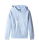(ザノースフェイス) THE NORTH FACE キッズトレーナー・パーカー・スウェット Logowear Pullover Hoodie (Little Kids/Big Kids) Chambr