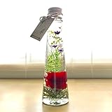 カーネーション ハーバリウム【レッド・赤】 花 ギフト