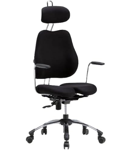 HARA CHAIR（ハラチェア）Nietzche ニーチェ オフィスチェア Amazon.co.jp: Hara Chair ハラチェア ニーチェ 《標準モデル