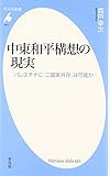 書評 中東和平構想の現実 by レイノー