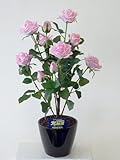 ”超質感”光触媒アートフラワー（造花）　ばら（バラ・薔薇）１本立ち（ピンク）生花と間違えるほどのリアルな質感をぜひ体験してください。贈り物・母の日・新築祝・開店祝・誕生日・記念日・卒業式・入学式・ギフ