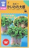【種子】かんたんスプラウト ルビー かいわれ大根 60ml