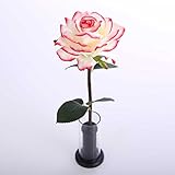 Formosaflowers （ フォルモサ フラワーズ ） 母の日 シングルフラワー 一輪挿し ＜LEDフラワー / 造花 ＞ アーティフィシャルフラワー 虹色発光 ローズレッド