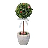 パラボッセ プリザーブドフラワー トピアリー Lサイズ まる 直径12cm×高さ28cm