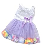 【SEBLES】ベビー服 女の子 女子 ワンピース ドレス レース シフォン オーガンジー スカート ノースリーブ 春 夏 ふんわり スカート 0歳 1歳 2歳(パープル,90cm)