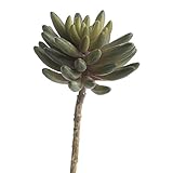 工場直接クラフト®人工ビニールSucculent Pick forホーム装飾、Gifting Decorating