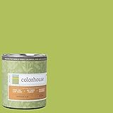 Inspired Flat Interior Paint, Thrive .03, Quart [並行輸入品]