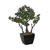 ALEKO Replica Faux with White Edges Tree Artificial Plant Bonsai for Home Office Patio Outdoor Decor