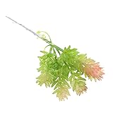 Homyl 多肉植物　結婚式パーティー　家庭や庭園のインテリア　図書館　カフェテリア　布屋　適用　９タイプ選べる - タイプ６