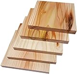 木 板 木材 板 板材 杉 カット 【 杉板 厚さ 10mm × 幅 100 mm × 長さ 100mm 5枚セット 】 ウッディヨネダ