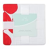 エイデンアンドアネイ クラッシックドリーム ベビー ブランケット 出産祝い おくるみ ギフトClassic Dream Blanket (カラー：dream ride-lift off）6132 Ad