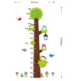 shalleen Owls Monkeyツリー高さチャート取り外し可能な壁ステッカービニールデカール子供部屋装飾