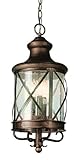 Trans Globe Lighting 5126 ROB 4-Light Hanging Lantern, Rubbed Oil Bronze [並行輸入品]