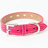 犬 首輪 おしゃれ かわいい ブランド 中型犬 小型犬 超小型犬 いぬ くびわ 革 レザー 皮 チワワ トイプードル 犬用首輪 てるべる No1(FBM) (マゼンタピンク, MS)