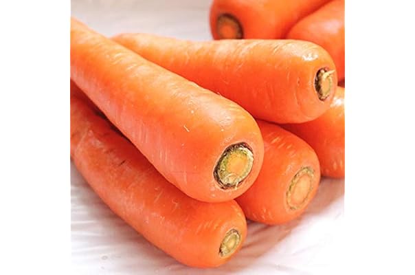 Amazon Co Jp 売れ筋ランキング にんじん の中で最も人気のある商品です Amazon Co Jp 売れ筋ランキング にんじん の中で最も人気のある商品です