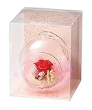 Paseo クリアケース入り プリザーブドフラワー ハンギングフラワー レッド 10.5×10.5×H13cm S-18A-RD