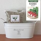 ウィンナーラディッシュの栽培セット/標準セット（液体肥料無し）プランターホワイト仕様