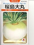 桜島大丸　　タキイの大根種子です