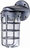 Designers Edge L1707SV One-Light Incandescent Weather Tight Industrial Light [並行輸入品]