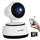 WiFi IP Network Wireless Camera +64GB MicroSD card (HD Megapixel/Night Vision/2 Way Audio/Pan&Tilt) 