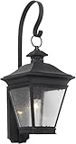 Elk 5235-C 8 by 22-Inch Reynolds 1-Light Outdoor Wall Lantern, Charcoal Finish [並行輸入品]