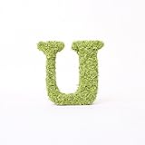 A plus floral art インテリアグリーン イニシャルモス [ U ] アルファベット オブジェ 置物 苔 イニシャル 雑貨 北欧風 インテリア