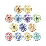家庭教師ヒットマンREBORN! トレーディング Botania 缶バッジ 13個入りBOX