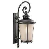 Sea Gull Lighting 89342BLE-780 Cape May - One Light Large Outdoor Wall Sconce, Burled Iron Finish wi