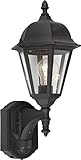 Forte Lighting 18003-01-04 Exterior Wall Light with Clear Beveled Glass Shades, Black [並行輸入品]