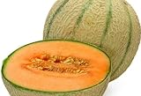 Melon Cantaloupe Hearts of Gold - Melon Cantaloupe Hearts of Gold - 10 seeds