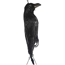 Amazon | ONESORA カラスよけ 鳥よけグッズ 本物そっくり リアル羽毛