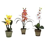 Nearly Natural 4985-A3-S3 Potted Orchid Mix, Yellow/Red/White, Set of 3 [並行輸入品]