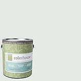 Inspired Eggshell Interior Paint, Imagine .05, Gallon [並行輸入品]