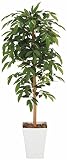 光触媒 人工観葉植物 光の楽園 アルデシア 1.2m 188A180