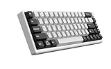 Arbiter Studio ゲーミングキーボード ラピッドトリガー対応 磁気スイッチ TENKO Polar 65 + アルミフレーム 65% White Panda 日本正規代理店保証品