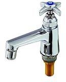 TS Brass B-0710 Single Basin Faucet, Chrome by T&S Brass