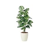 東北花材 人工樹木 モンステラR 90221 生活用品 インテリア 雑貨 インテリア 家具 観葉植物 top1-ds-1825314-ak [簡易パッケージ品]