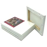 ゆめ画材 ストレッチ キャンバス 包張り SM (227mm×158mm) 裏止め 4枚セット