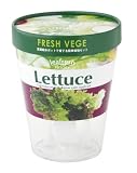 ノーブランド品 フレッシュベジ FRESH VEGE レタス