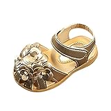 杜屋トヤ ファッション 校内履き ジュニア 夏 アウトドア つま先保護 マジックテープ 透気性 すべり止め 通学 通園 可愛い 女の子 花 カジュアルウェア 子供 シングル レザー プライス サンダル