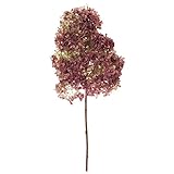 東京堂 ドライフラワー  ミナヅキ 小  ナチュラル DE017176