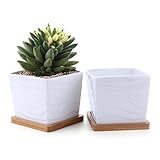 T4U 多肉植物、サボテン鉢 フラワーポット プランター容器 バンブートレイ付き 白 (パッケージ商品数: 2, No.13)