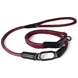 HIGH5DOGS クリックリード 8mm レッド