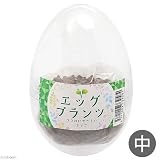 B-blast エッグプランツ 中